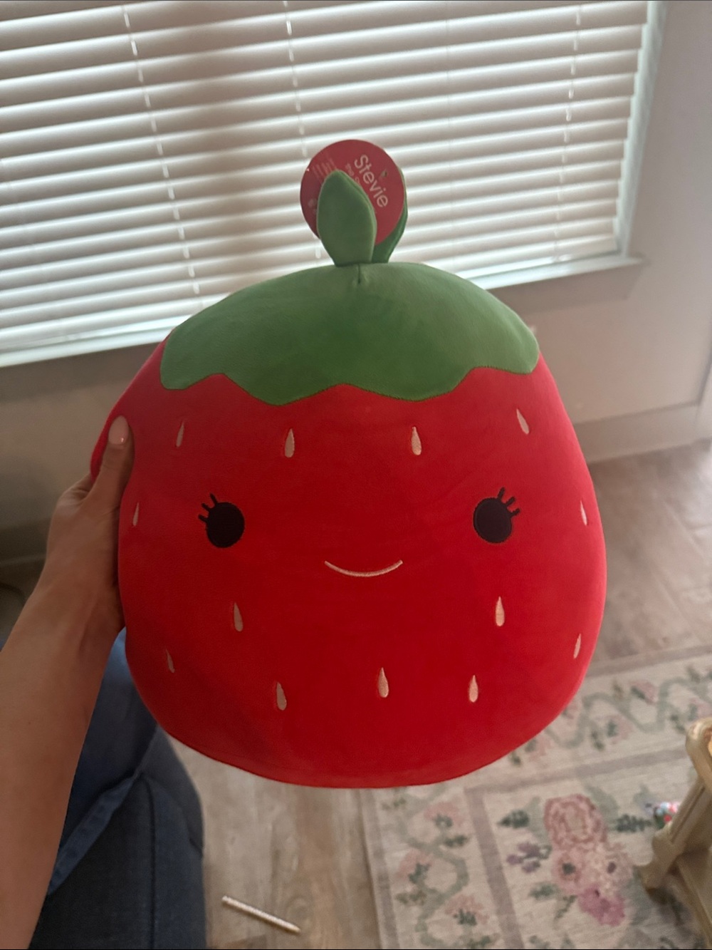 Stevie Red Strawberry Plush Pillow